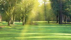 Bryan Lee Funeral Home